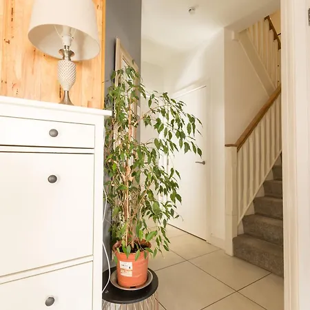 Modern Close To Airport, And Beaches